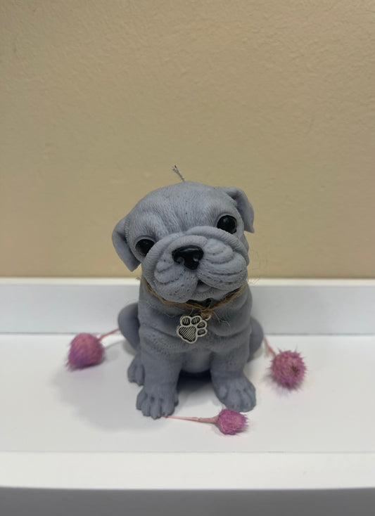 Bulldoggen-Kerze